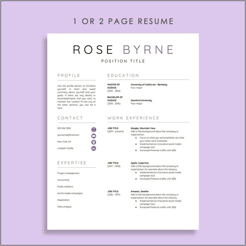 1 Page Company Resume Examples