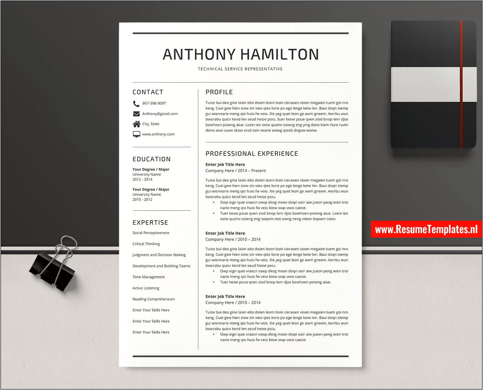 2 Page Resume Template On Word For Free
