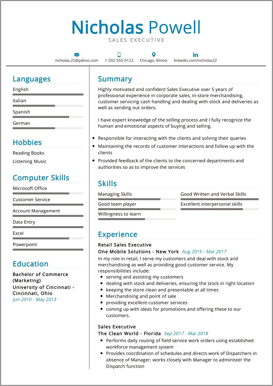 2017 Example Resume For Sales Executive