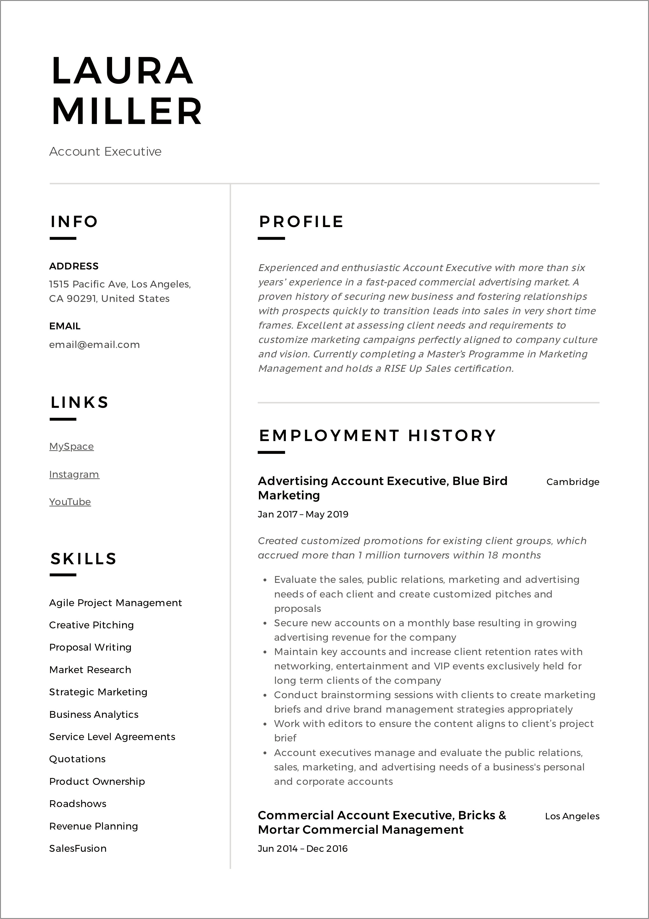 2019 Example Of Resume Executive Summary