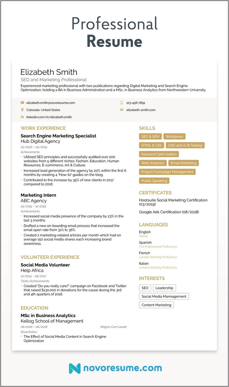 2019 Resume Templates For A Marketing Professionals