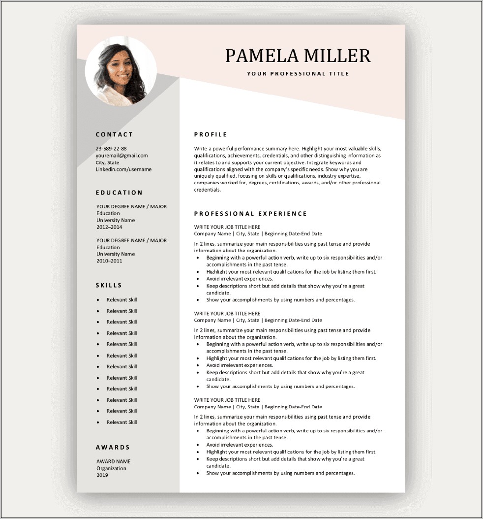 2019 Resume Templates Free Download Trackid Sp 006