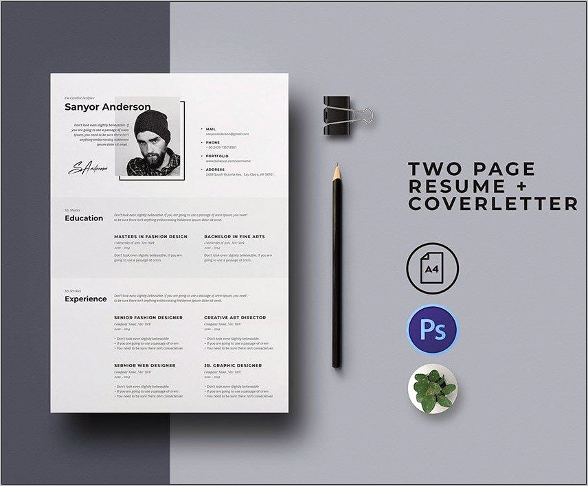 22 Contemporary Resume Template Free Download