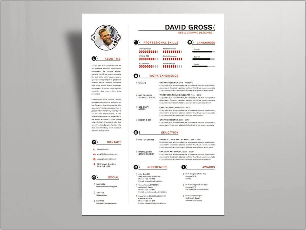 3 Page Resume Template Indd Docx Torrent