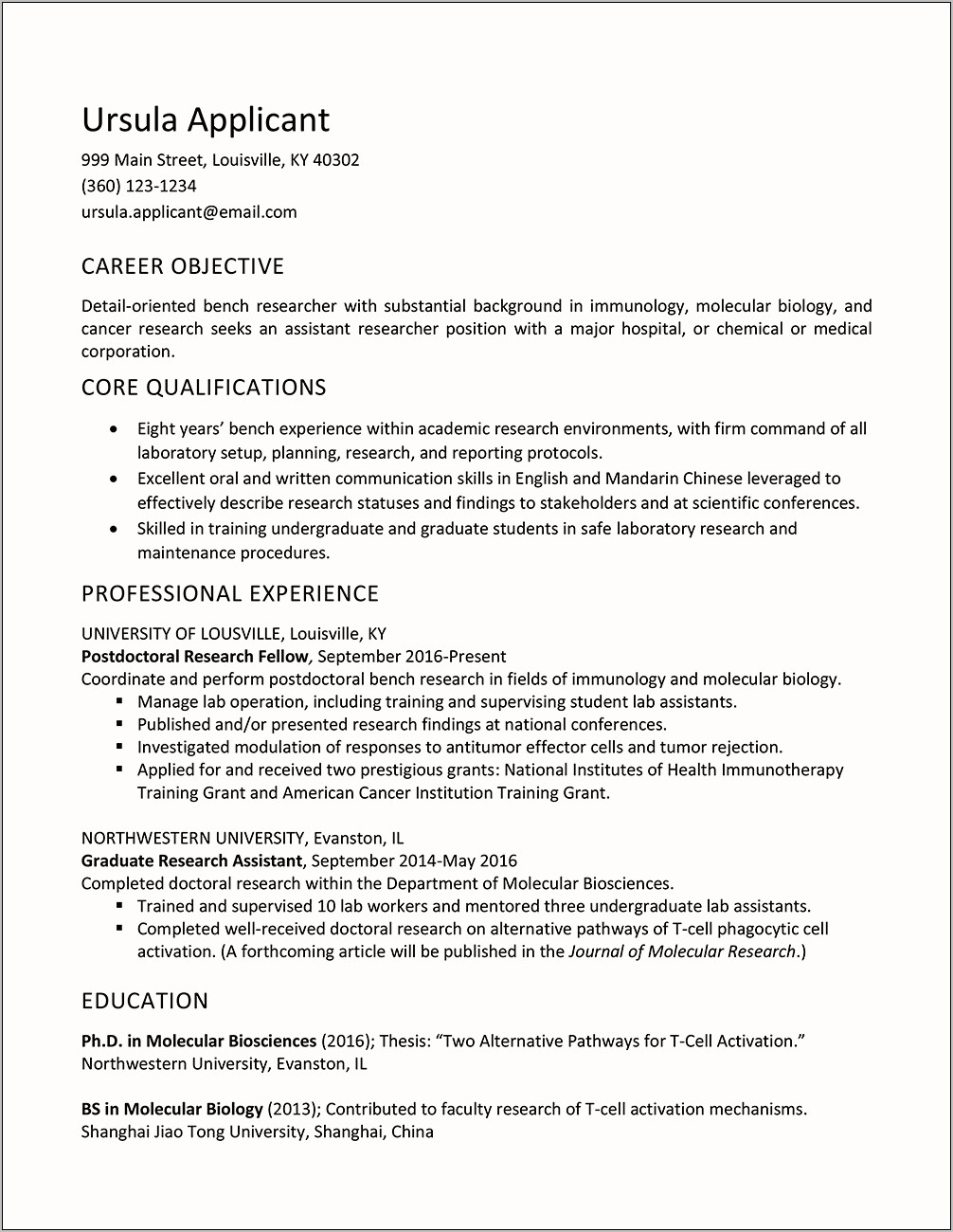 Activity Assistant Job Description For Resume
