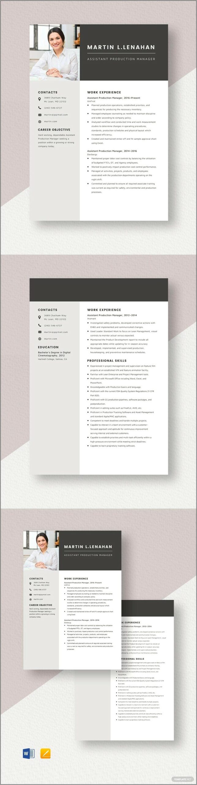 Actual Free Safe Online Resume Templates