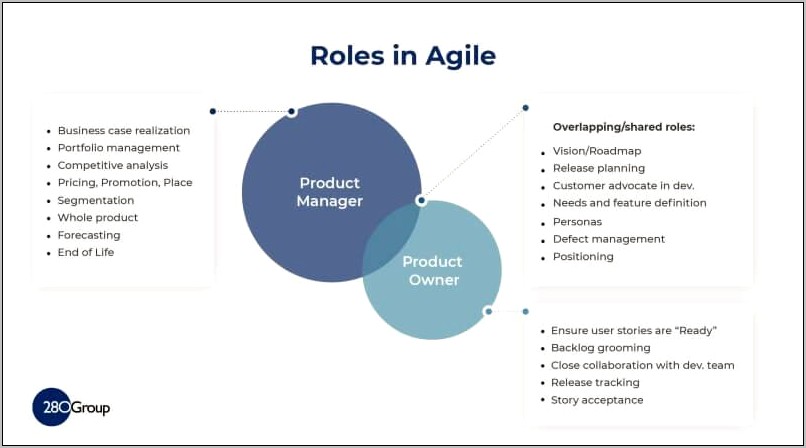 Agile Method Product Owner Resume Summary