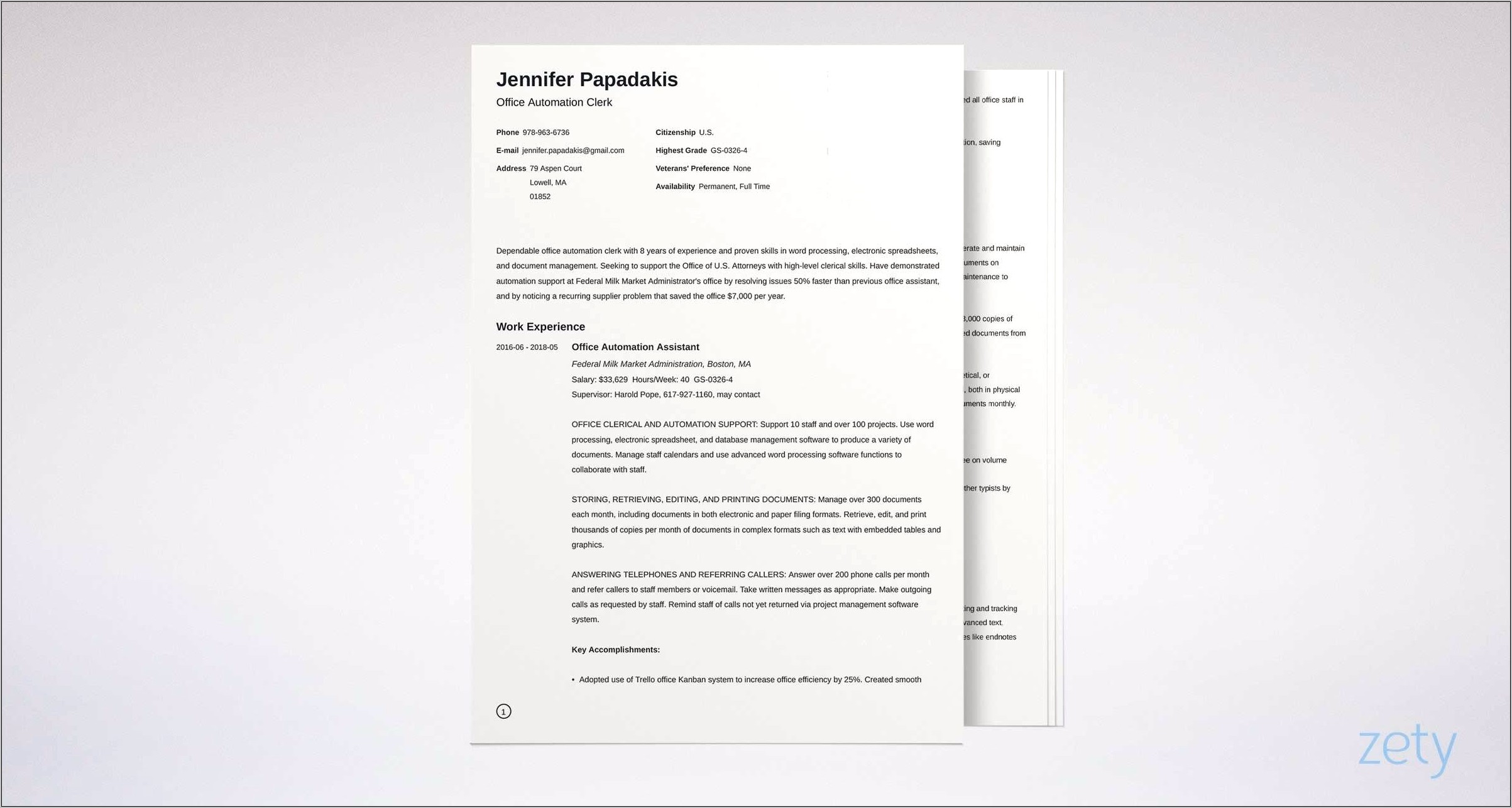 An Example Of A Federal Government Resume