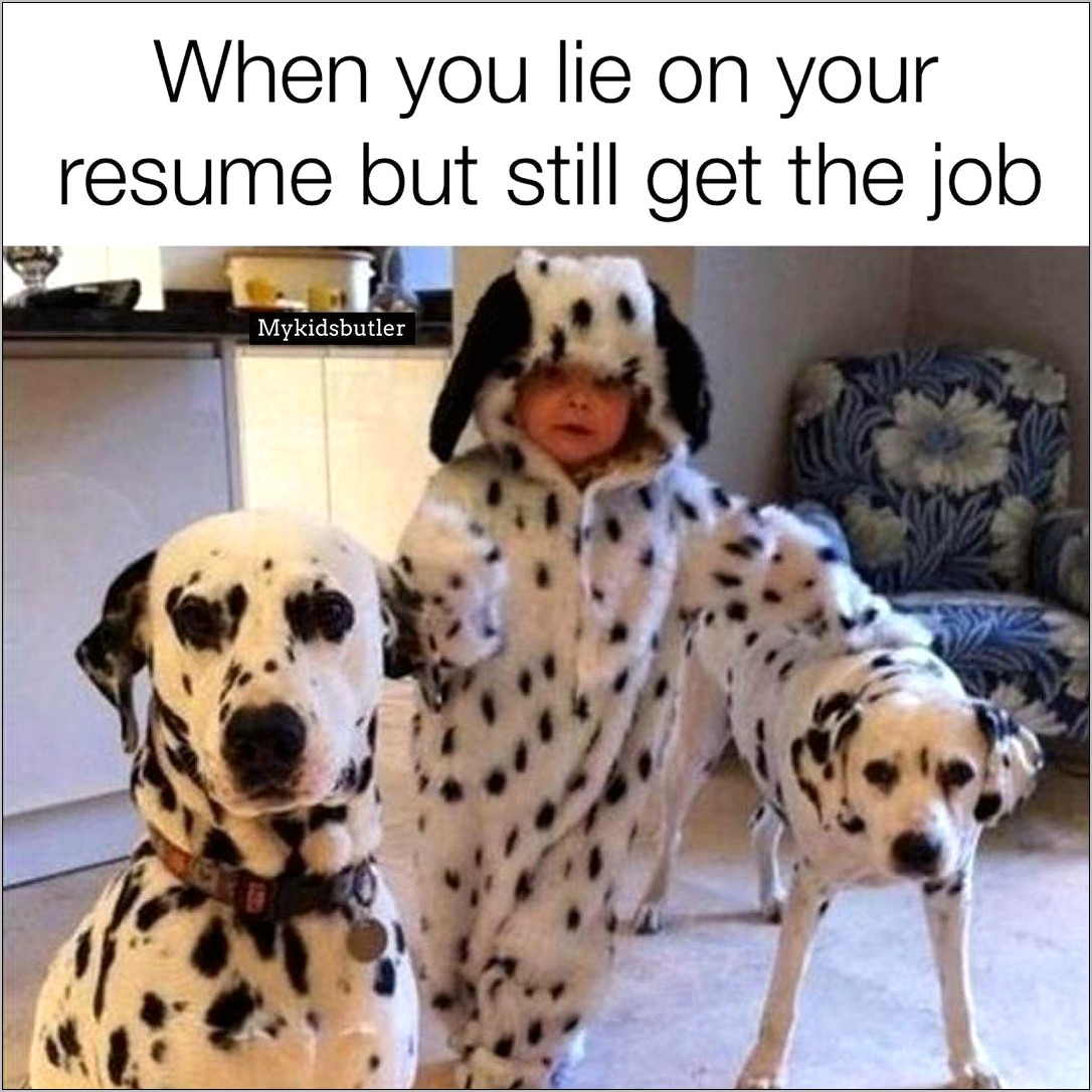 Animal Crossing Job Resume Meme