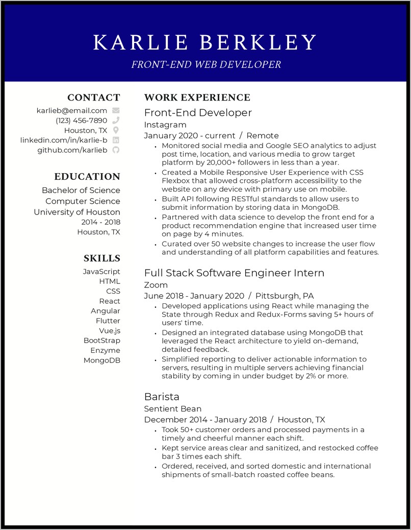 Application Developer Resume Examples 2014