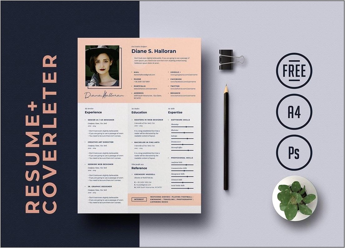 Is There Any Free Resume Templates Resume Example Gallery