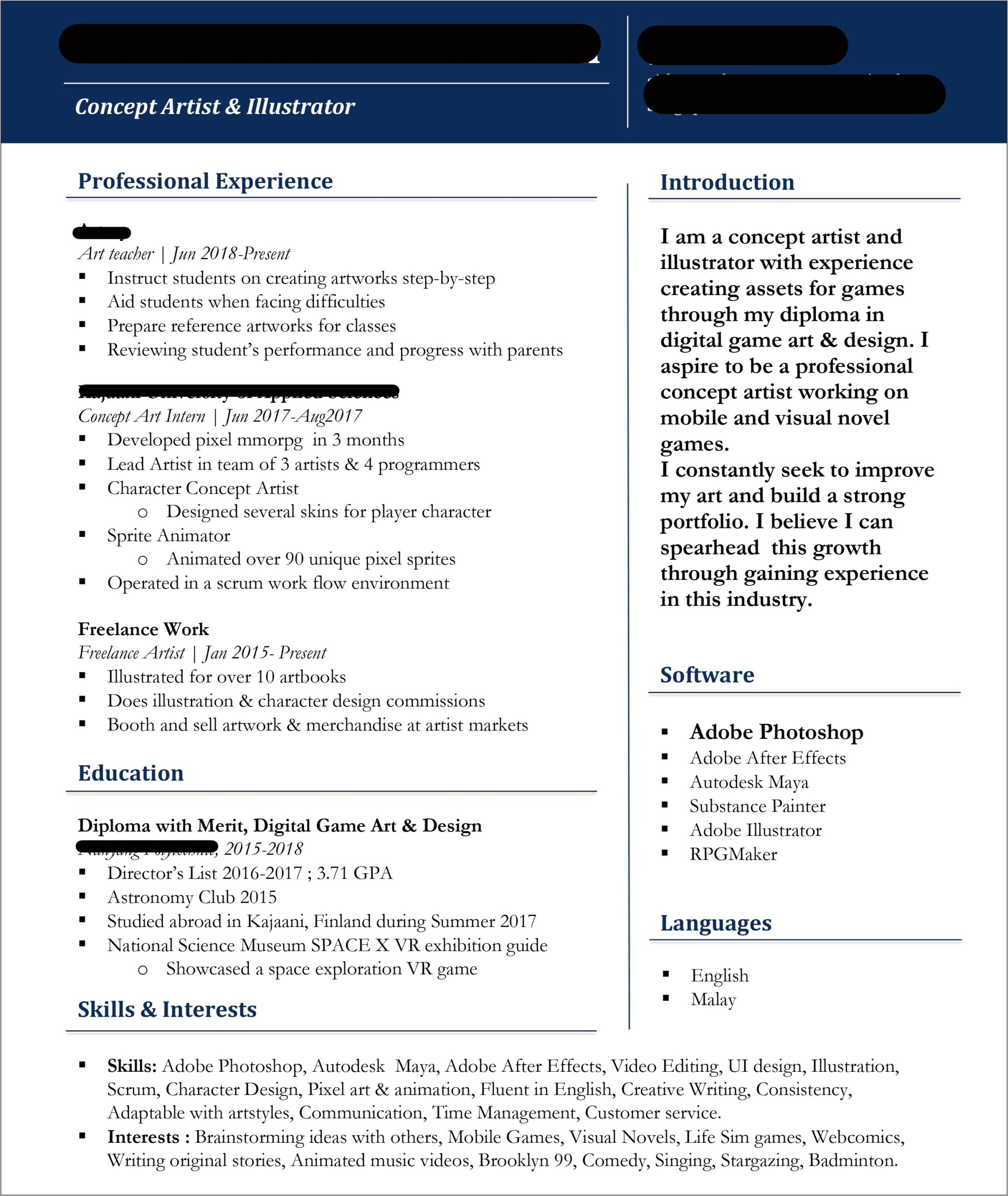 Artist Resume For Industry Without Experience