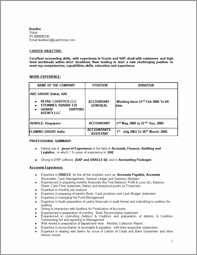 Assistant Accountant Resume Format In Word