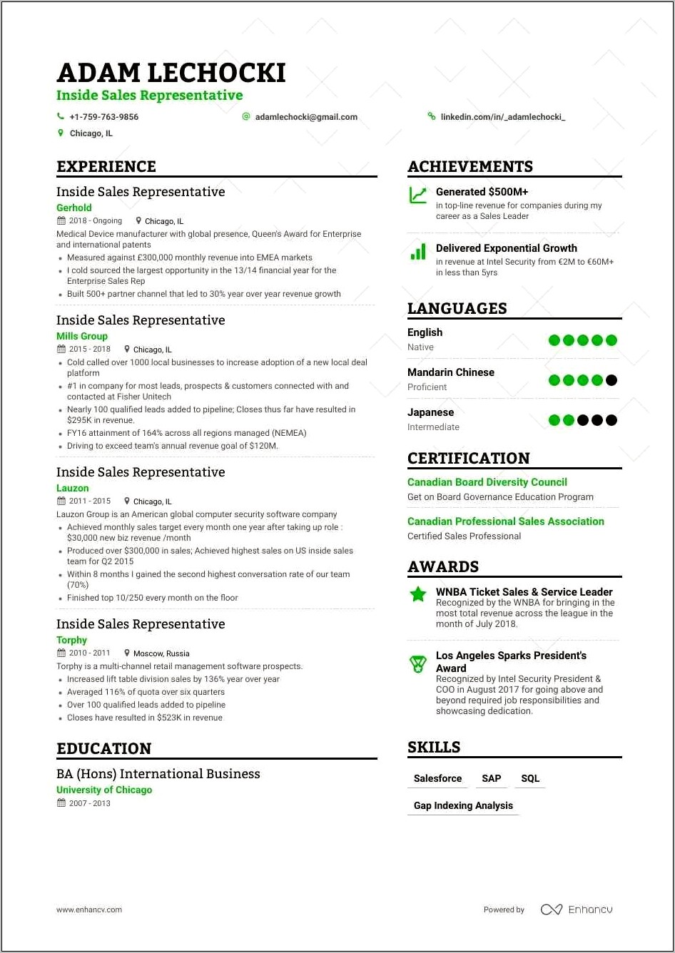 Awesome Sales Objective For Resume