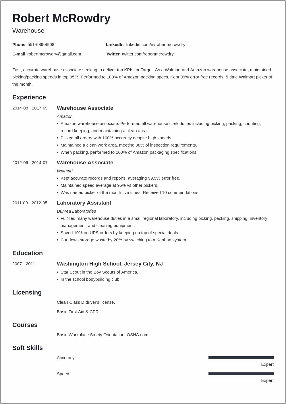 Basic Resume Examples Copy And Paste
