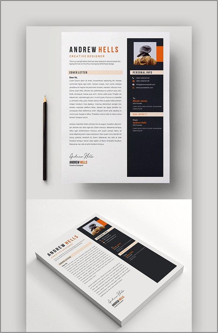 Best Business Development Resume With Color