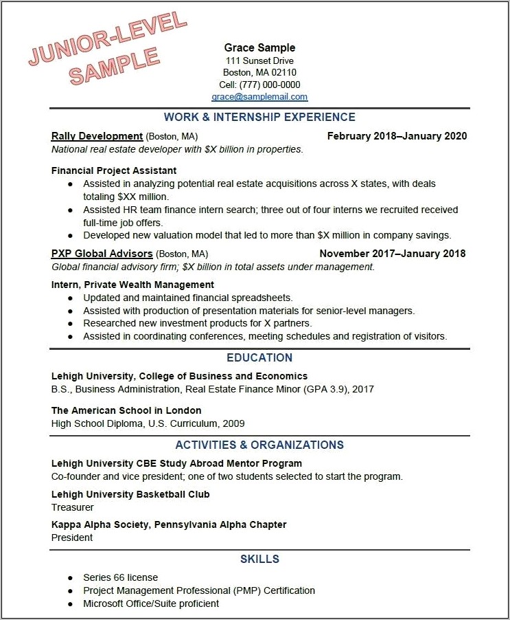 Best Example Of A Professional Resume