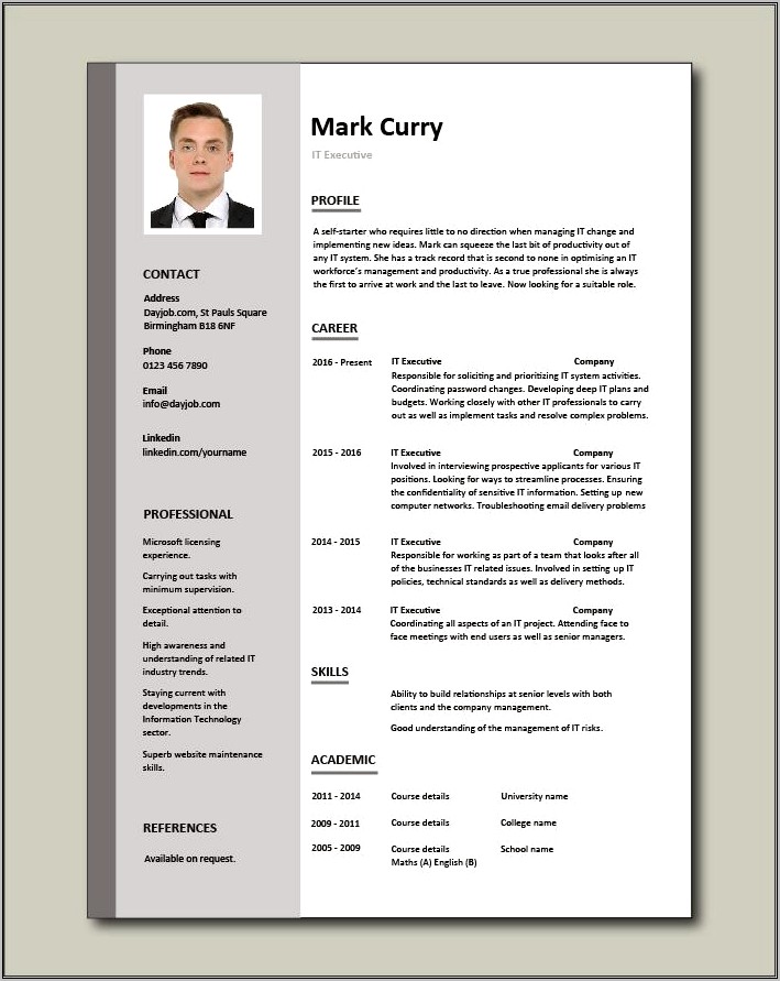 Best Executive Resume Format 2014
