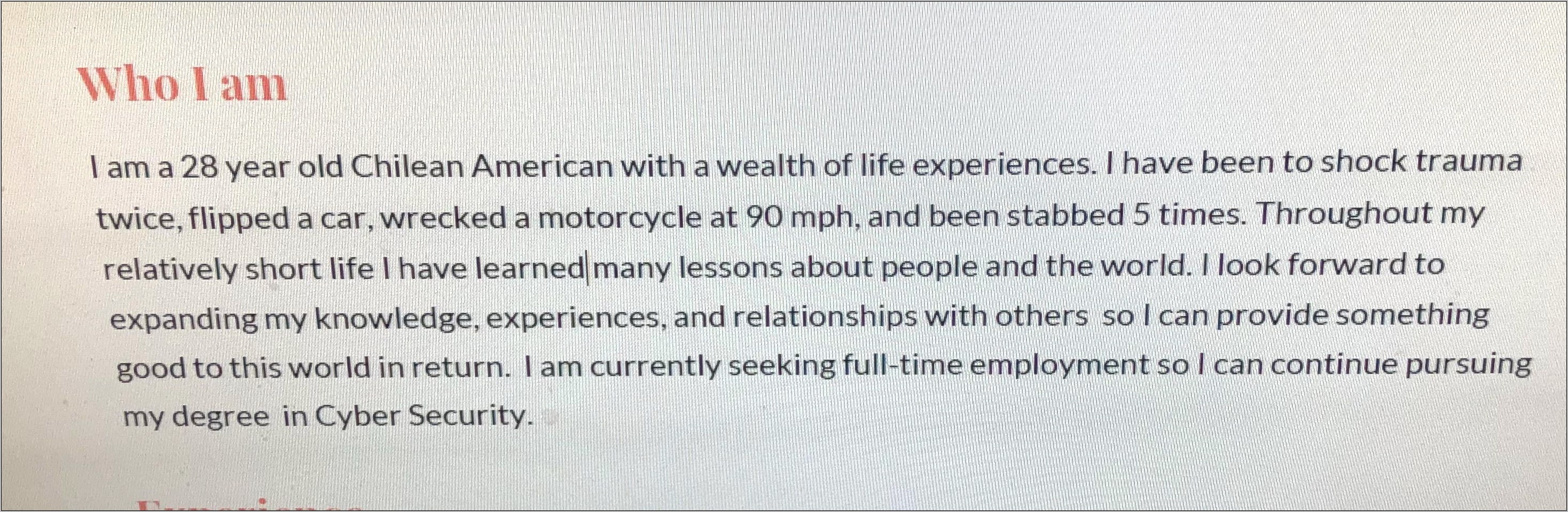 Best Introductory Sentence In A Resume