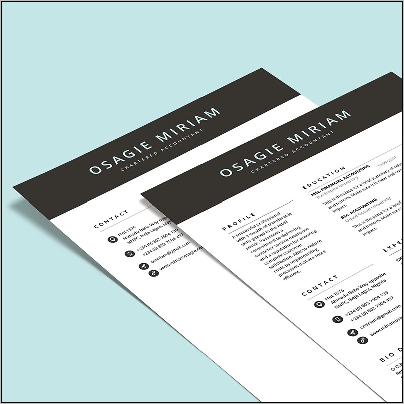 Best Looking Resumes Made With Pages