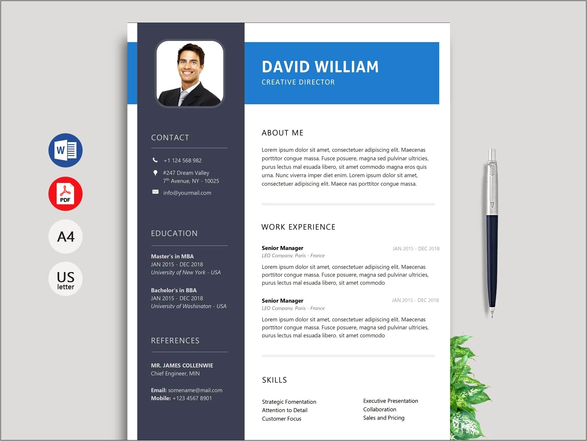 Best Modern Resume Template For Sale