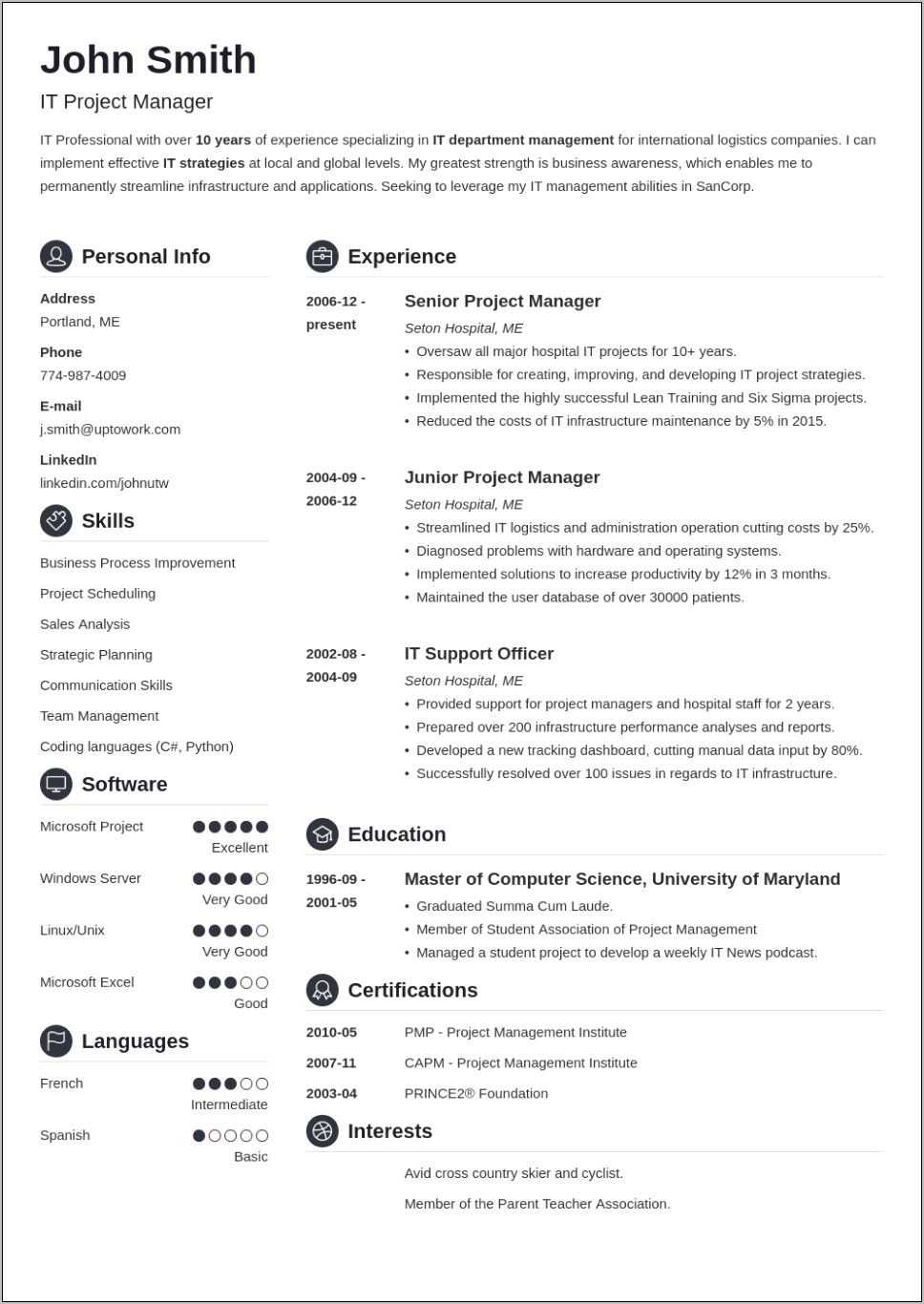 Best Professional Resume Format For It