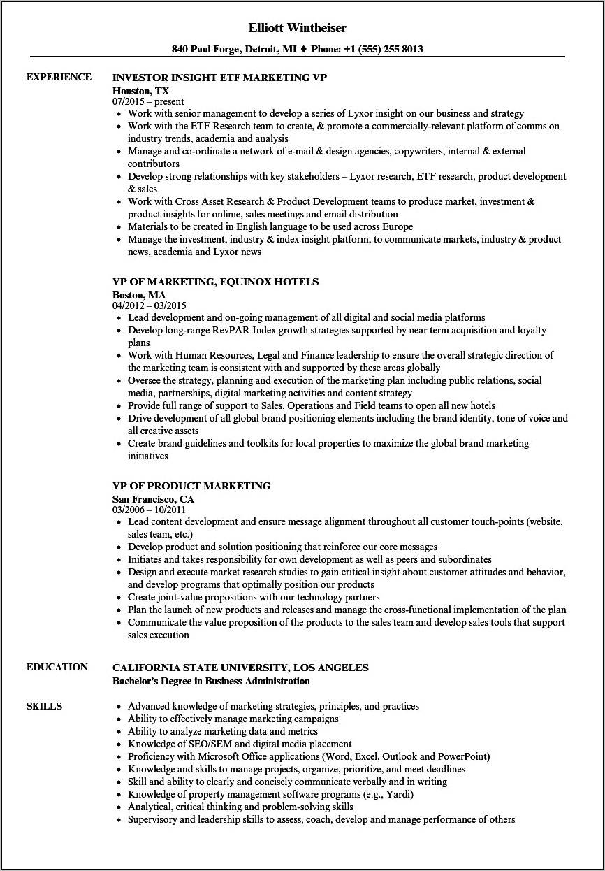Best Resume Examples Vice President Of Marketing