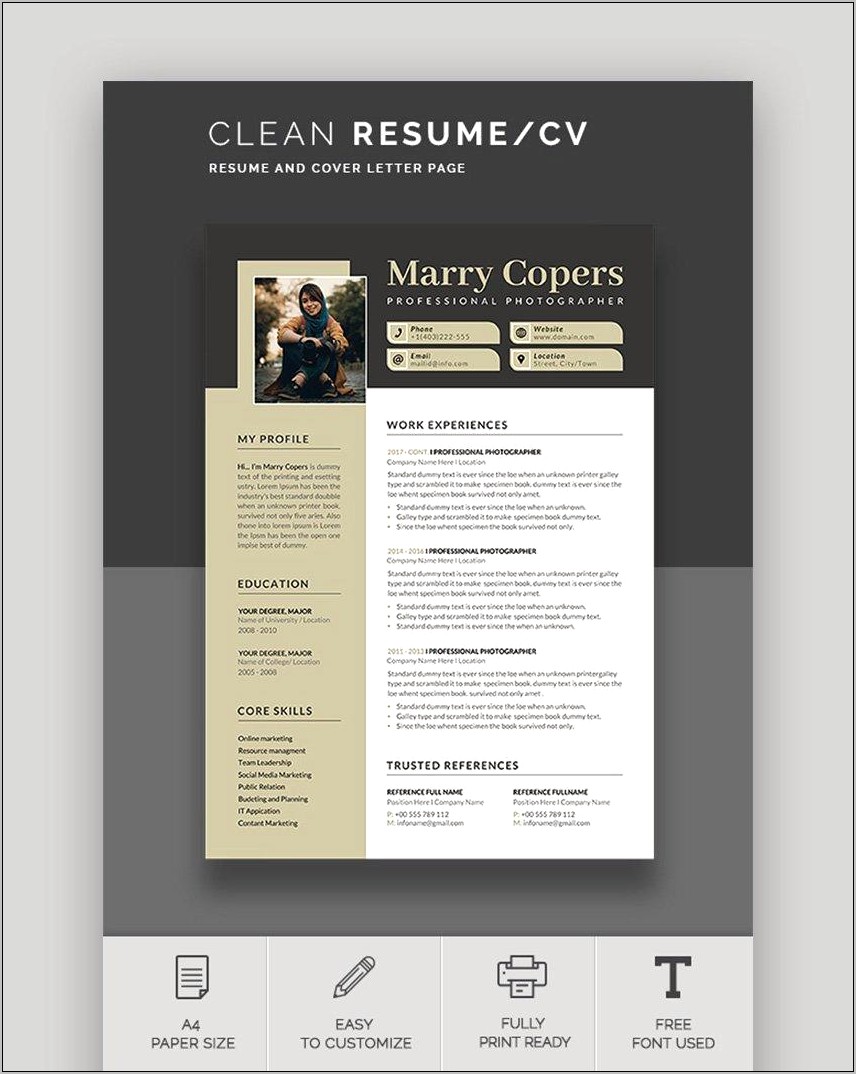 Best Resume Format On Word