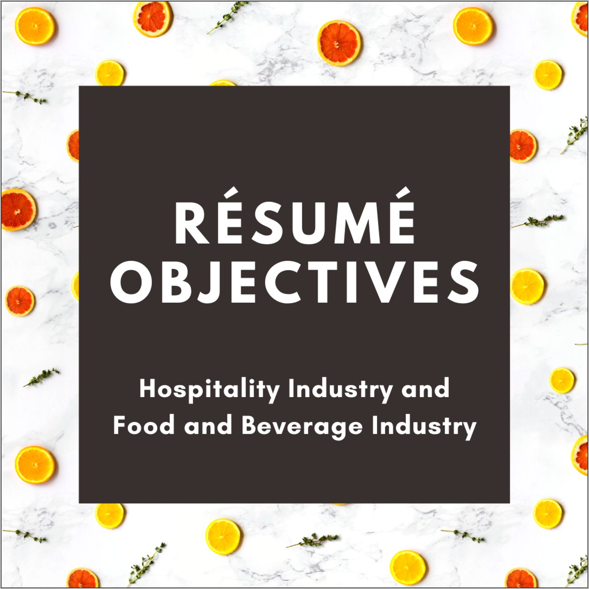 Best Resume Objectives For Business Majors