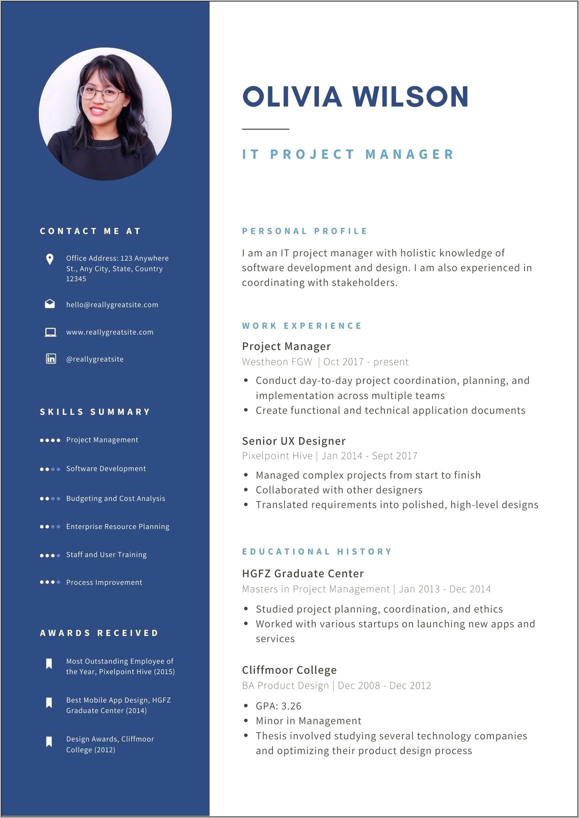 Best Resume Of An It Professional