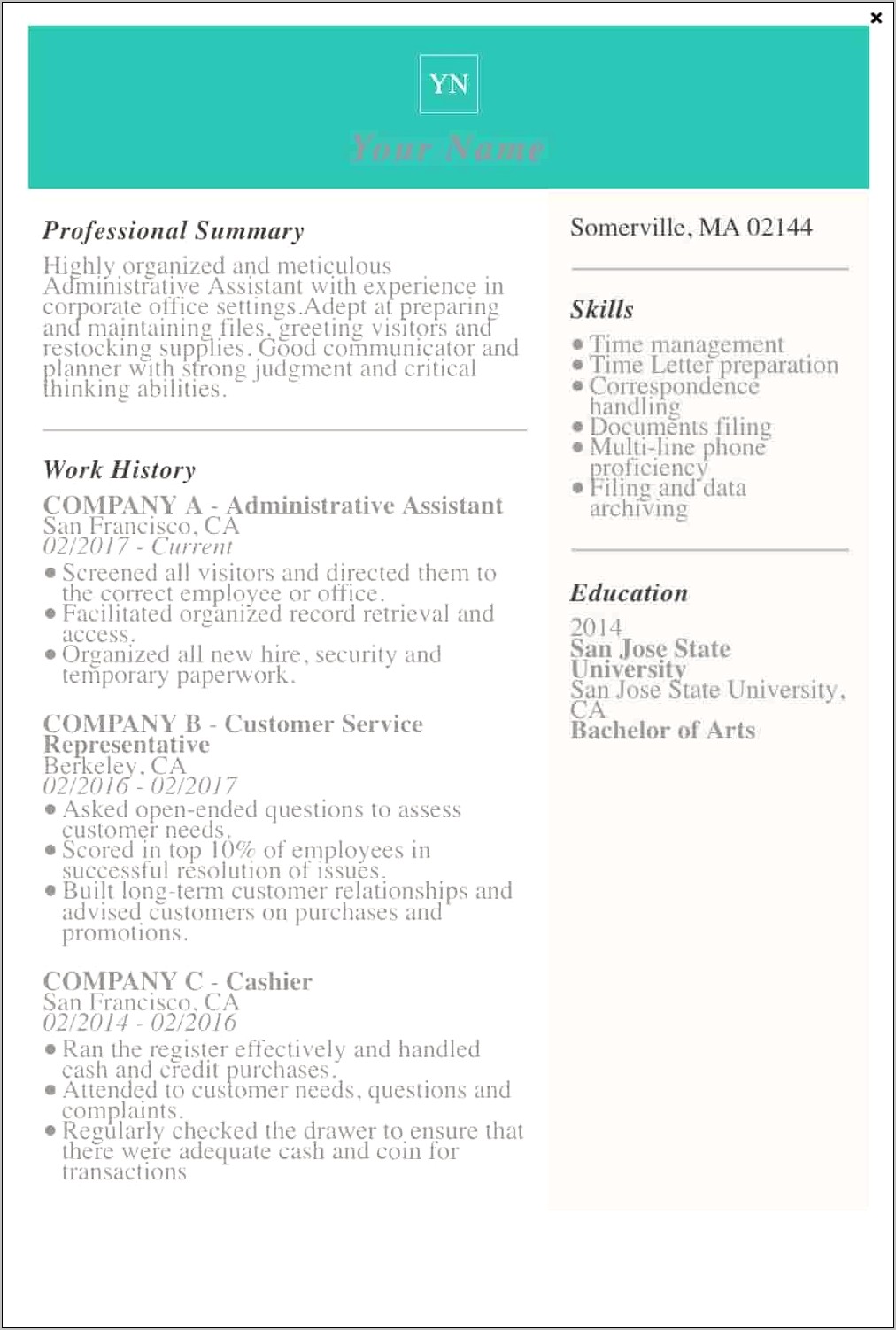 Best Resume Summary Template Examples 2017