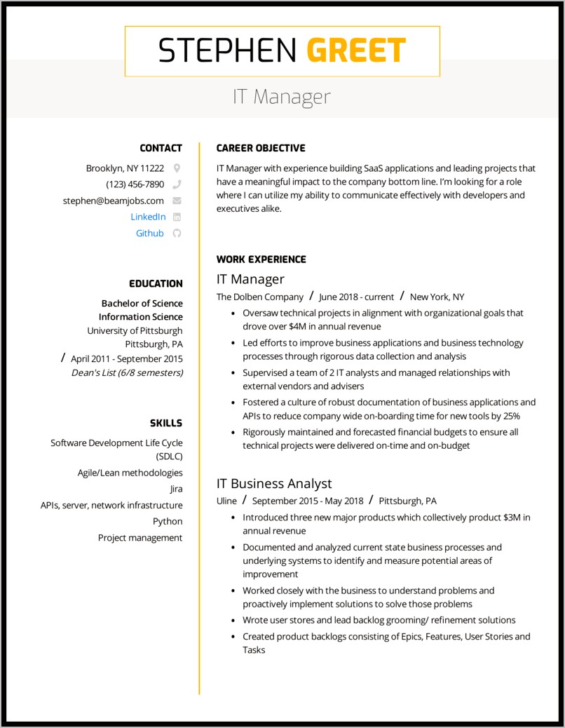Best Resume Templates For It Director
