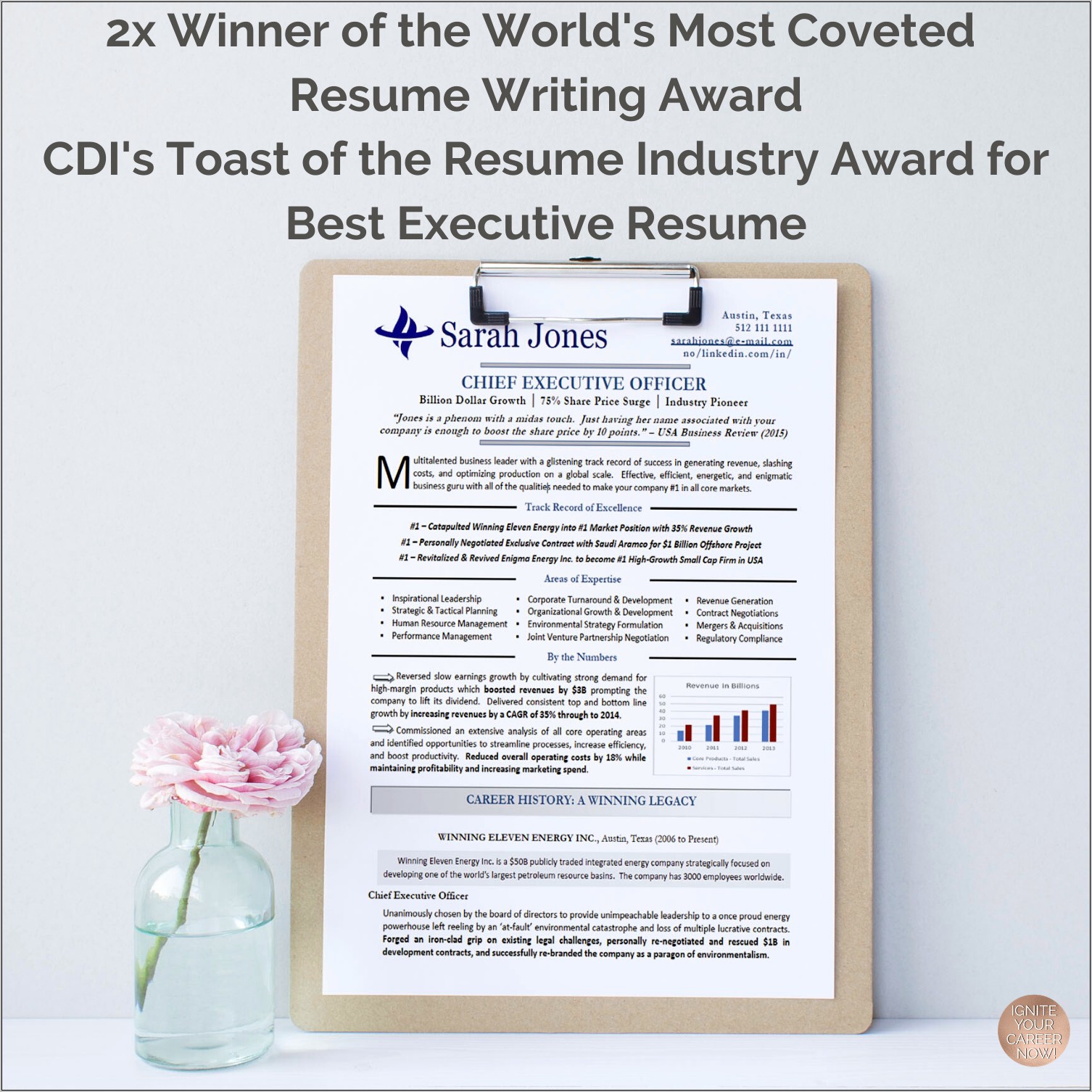 Best Resume Writing Service 2015 Reviews