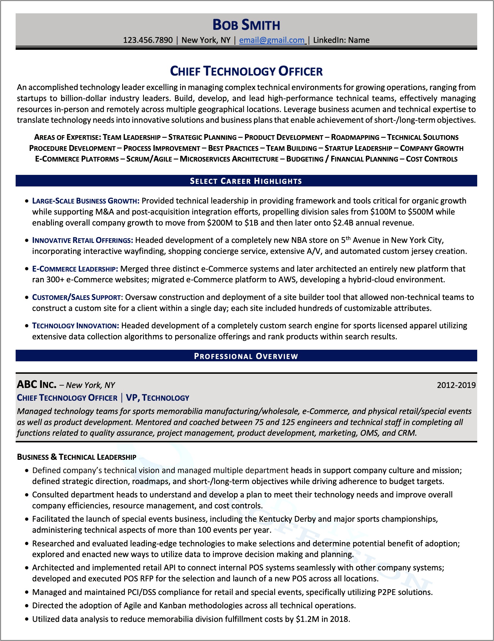 Best Sample Resume For It Professional