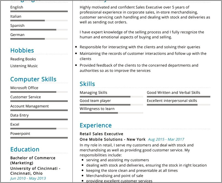Best Style Of Resume For Sales Executive