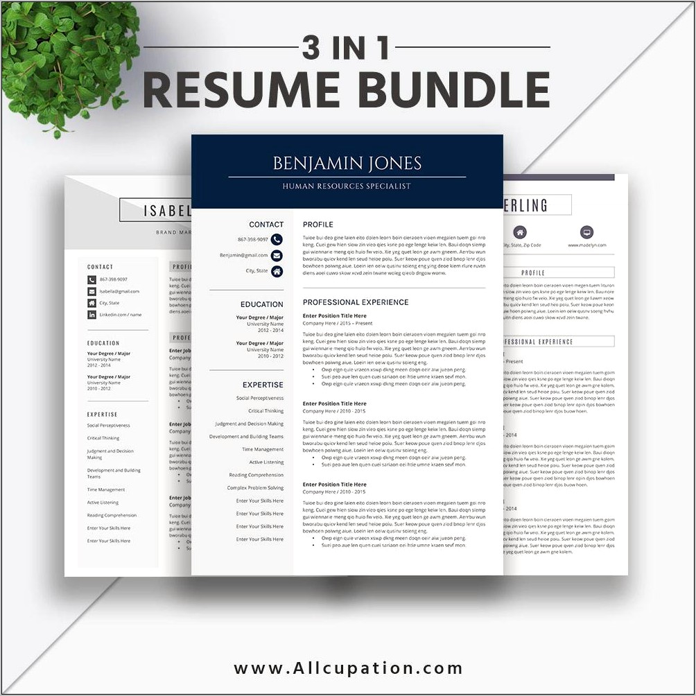 Best Template To Use For Resume