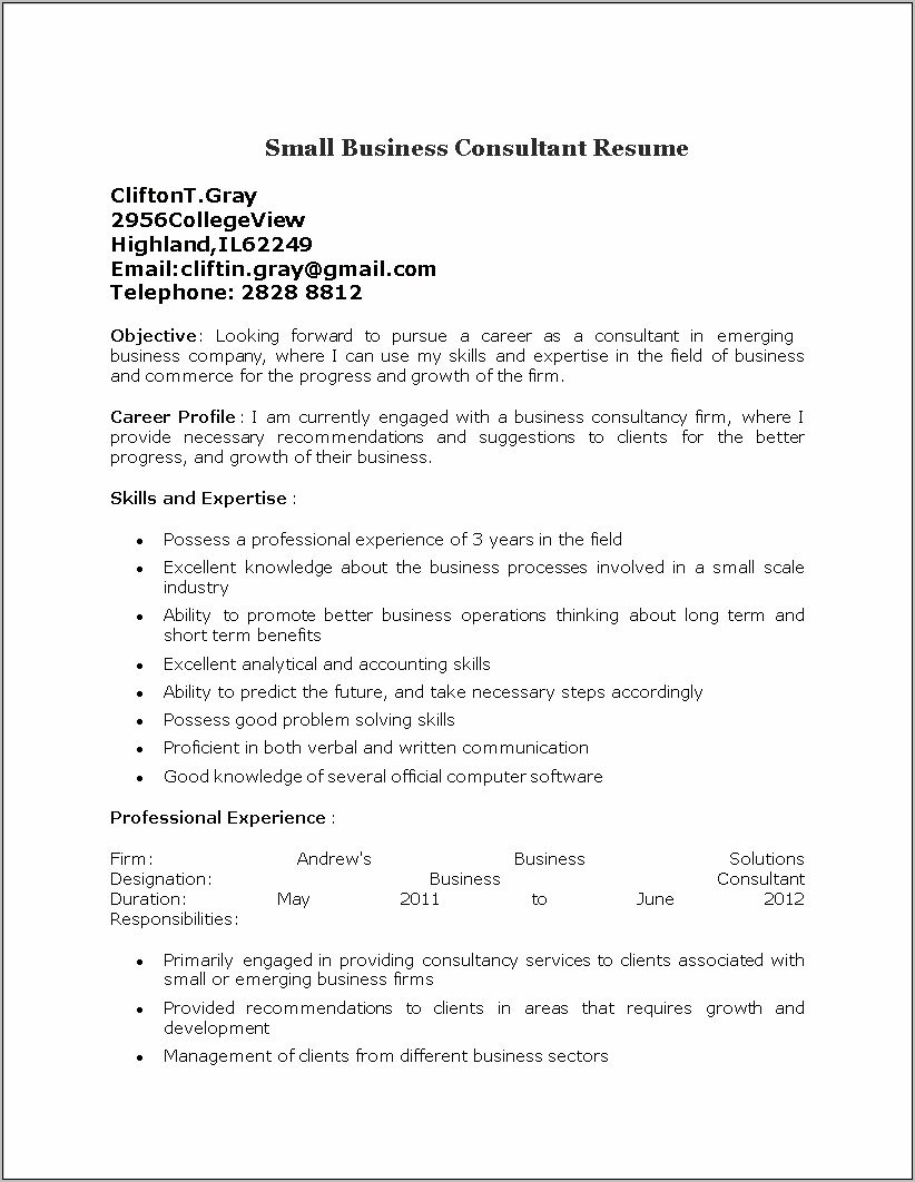 Best Way To Put Small Business On Resume