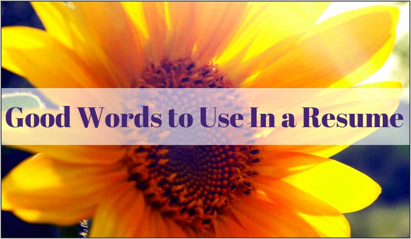 Best Words To Use In Resumes