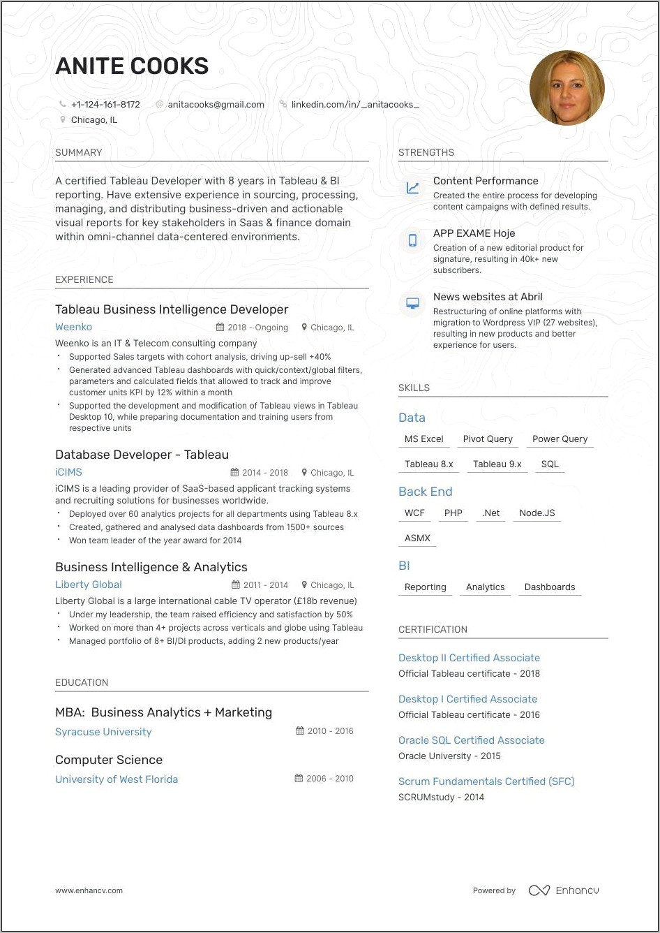 Bi Data Architect Job Sample Resume