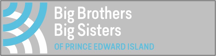 Big Brothers Big Sisters Mentor Description Resume