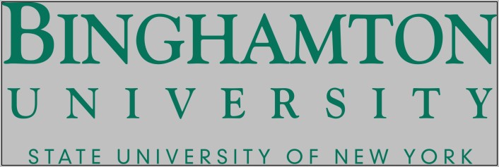 Binghamton University School Of Management Resume