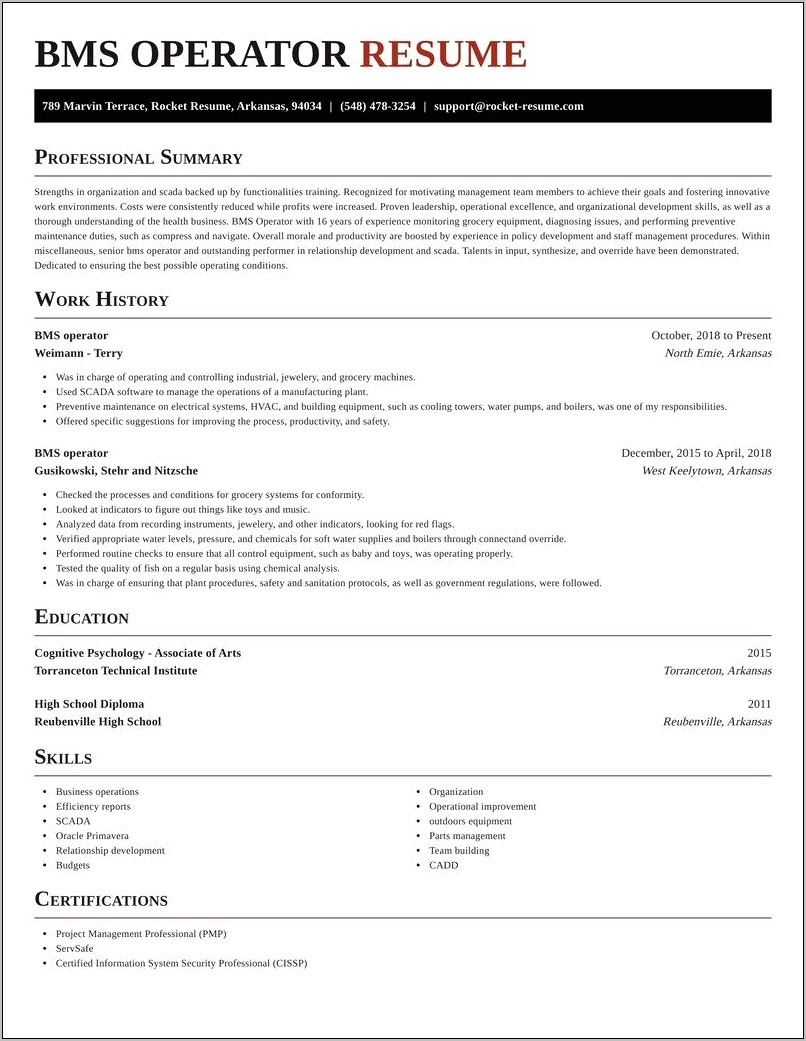 Bms Project Engineer Experience Resume Model