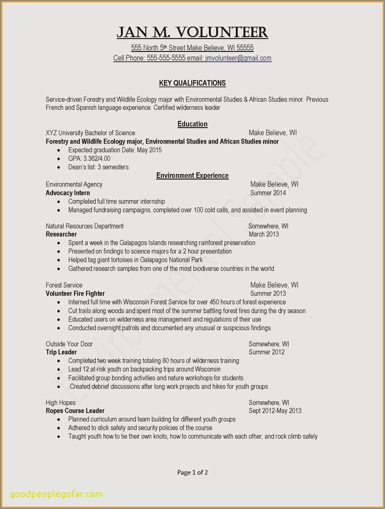 Brief Summaries For Youth Pastor Resume