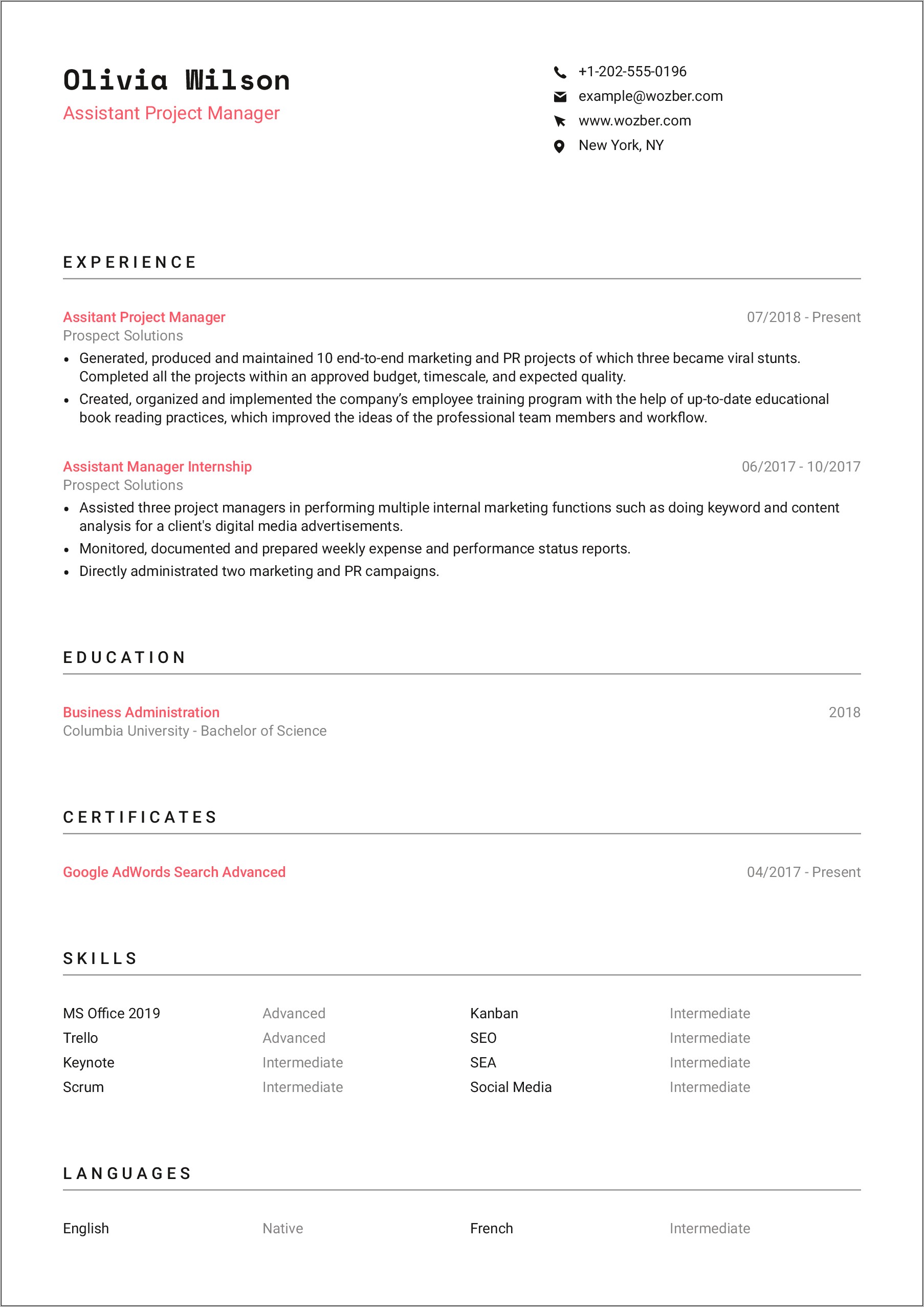 Budget Web Apllication Description On Resume