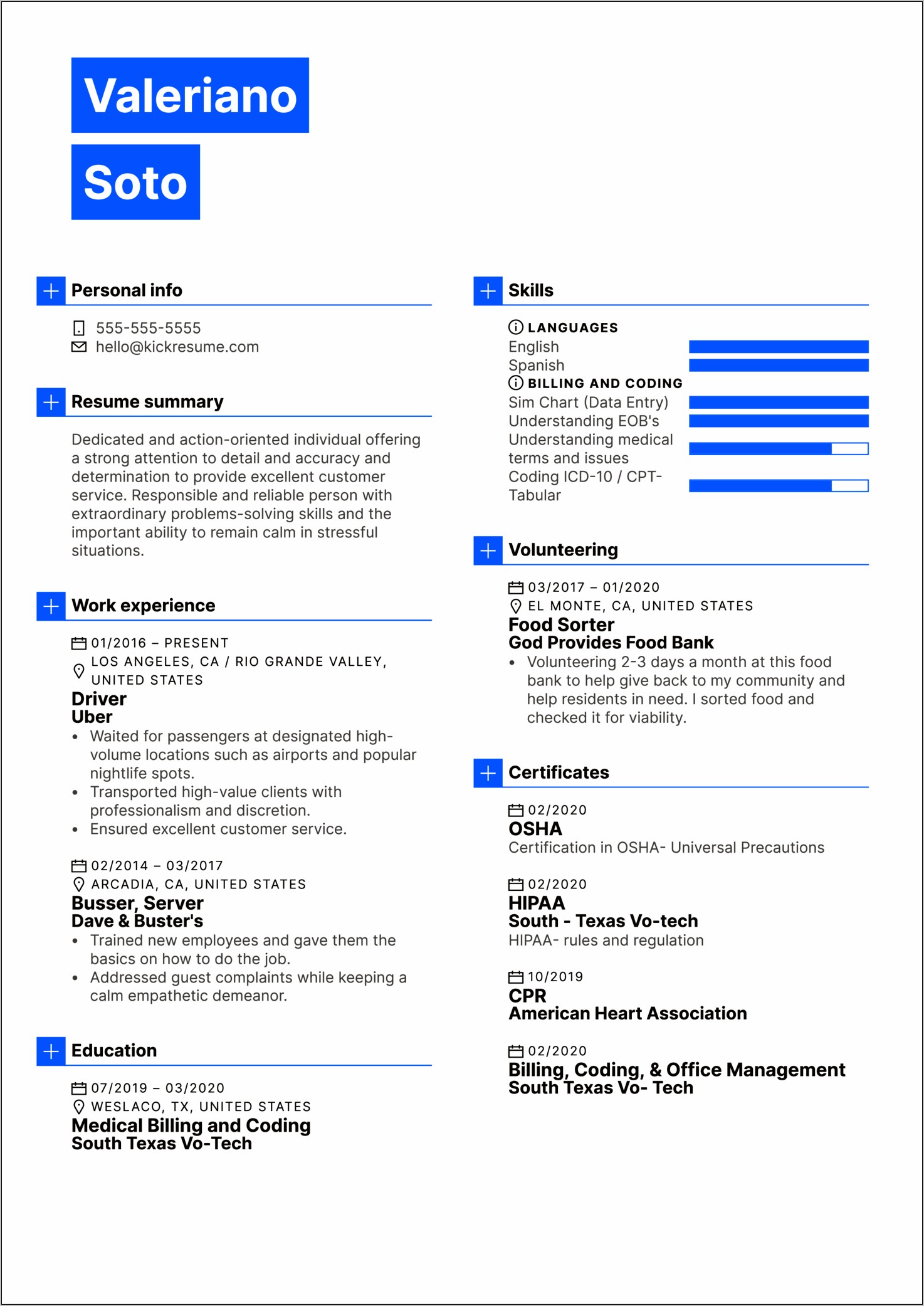 Bus Driver Resume Examples Healthcare Patient Driver Position
