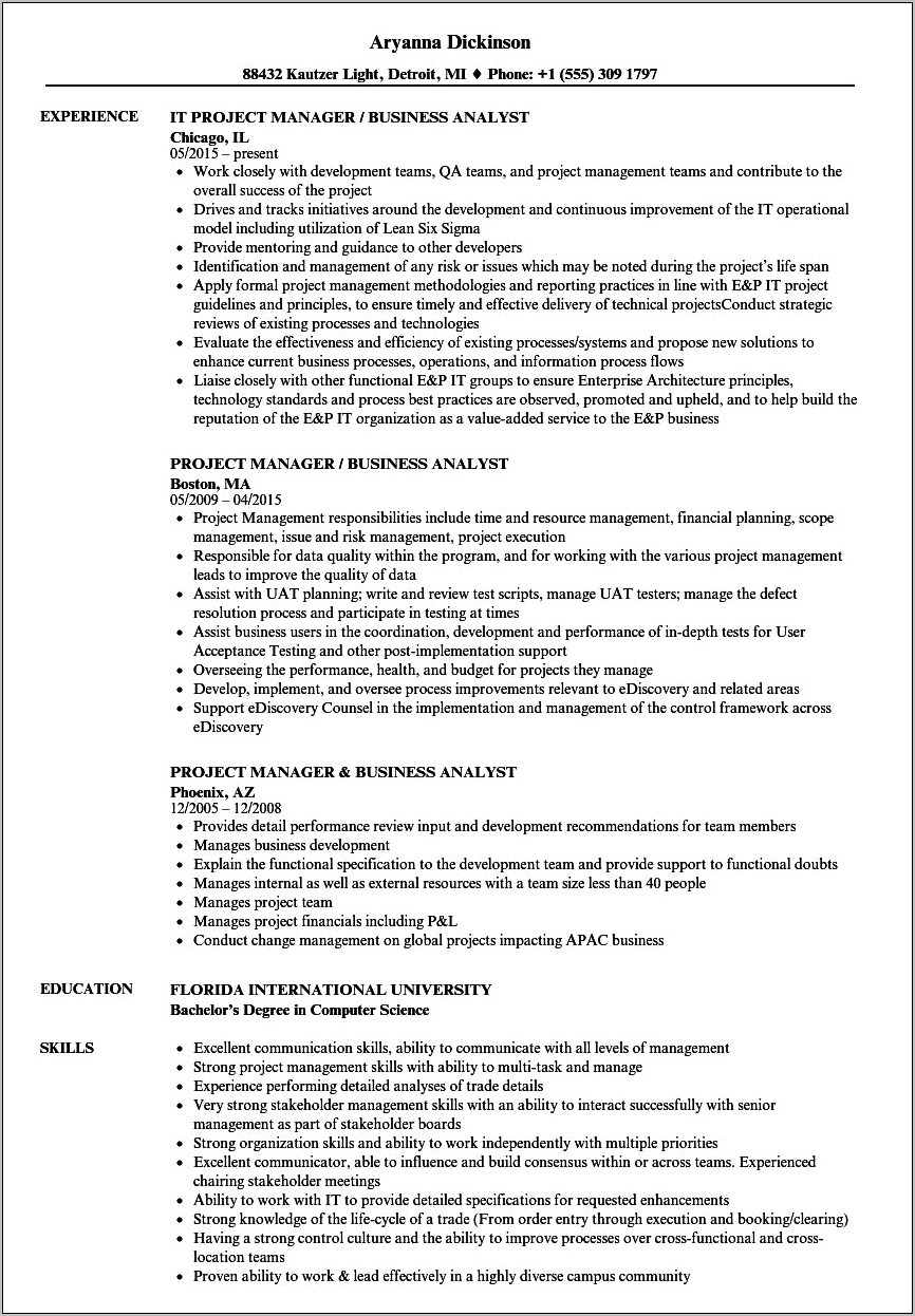 Business Analyst Project Manager Resume Sample