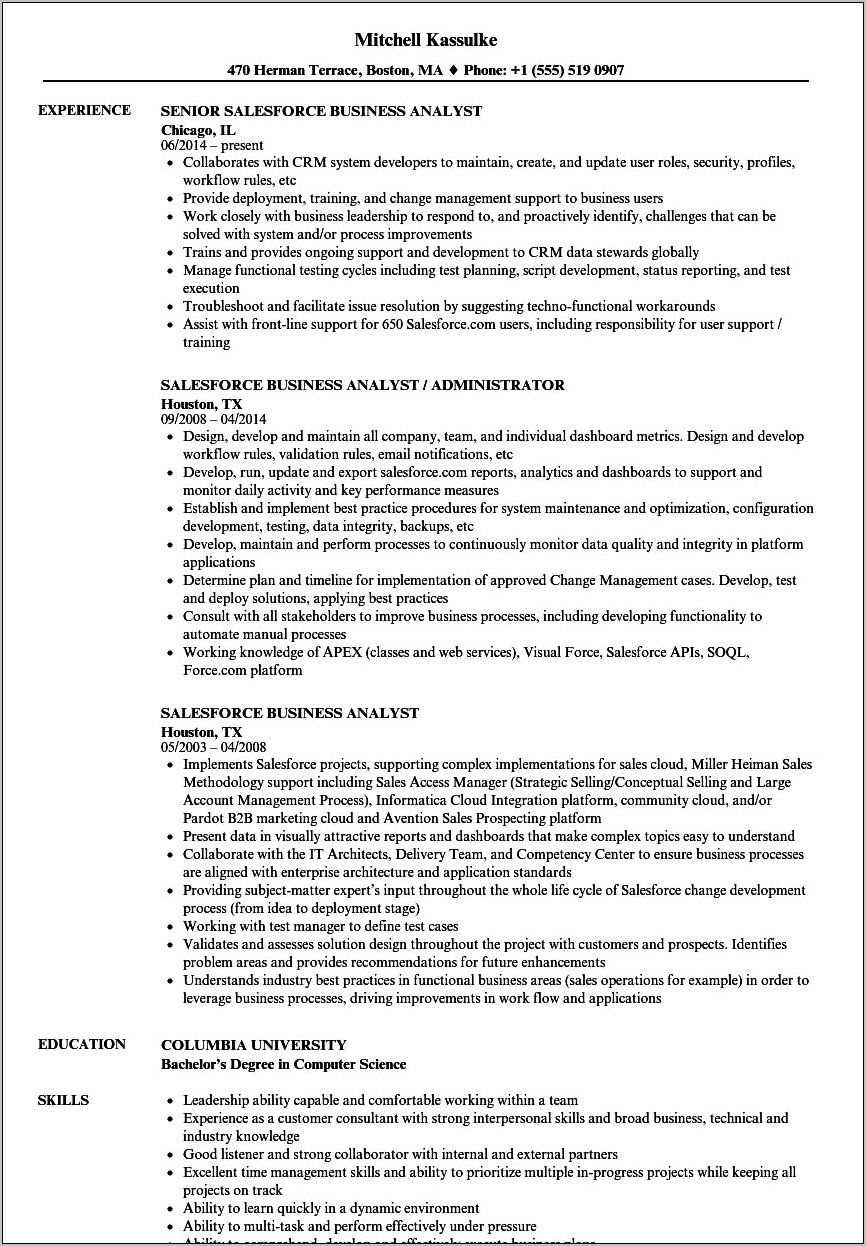 Business Analyst Sales Force Sample Resume
