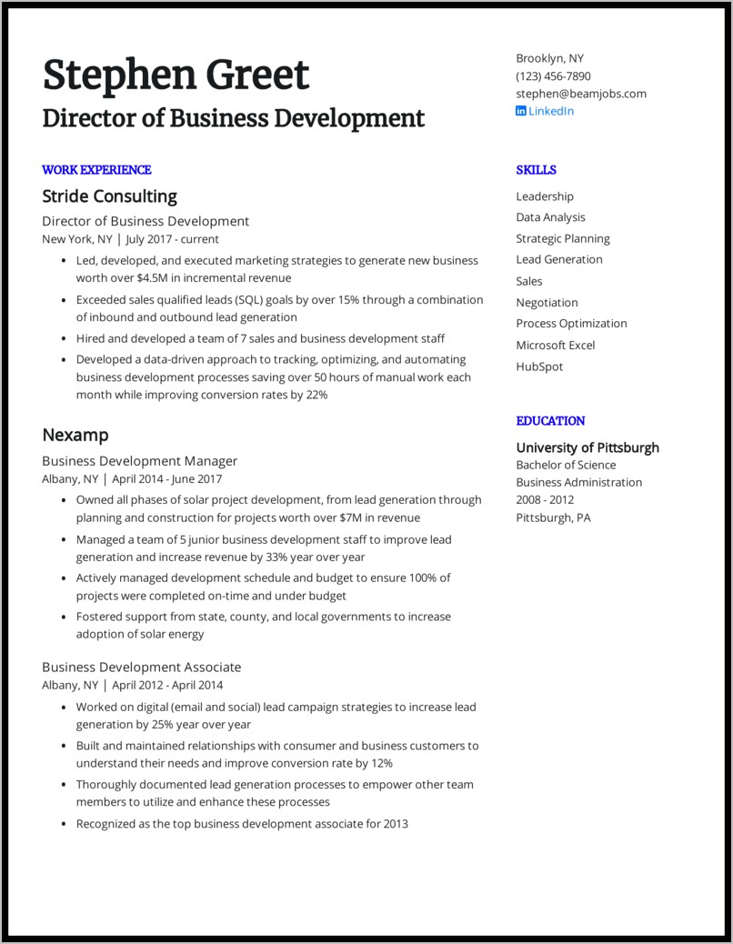 Business Development Job Description Resume