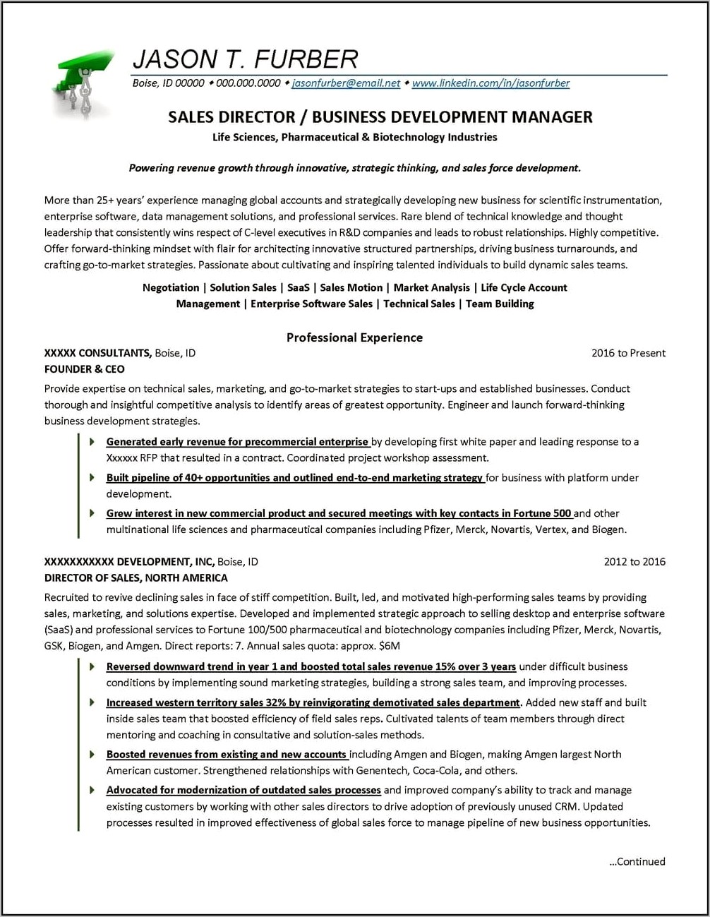 Business Development Manager Brief Resumen Description