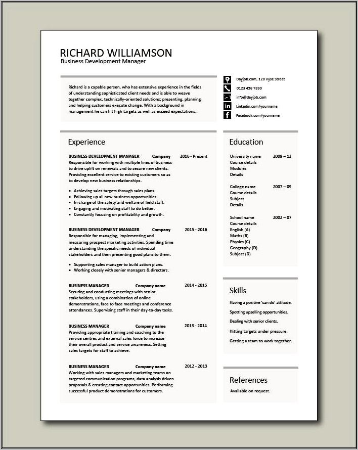 Business Development Manager Resume Word Document